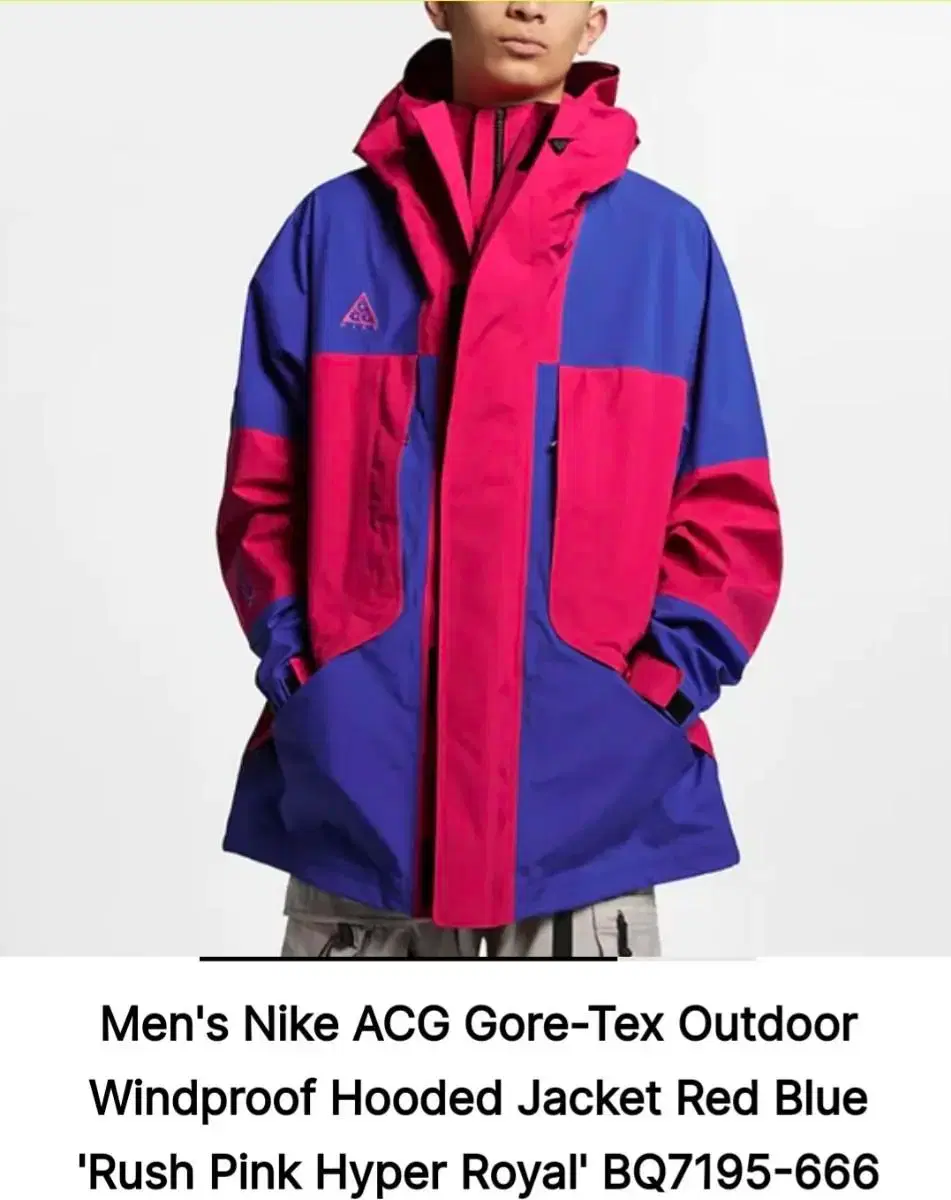 L사이즈) Nike ACG Gore-Tex Outdoor Jacket | 브랜드 중고거래 플랫폼